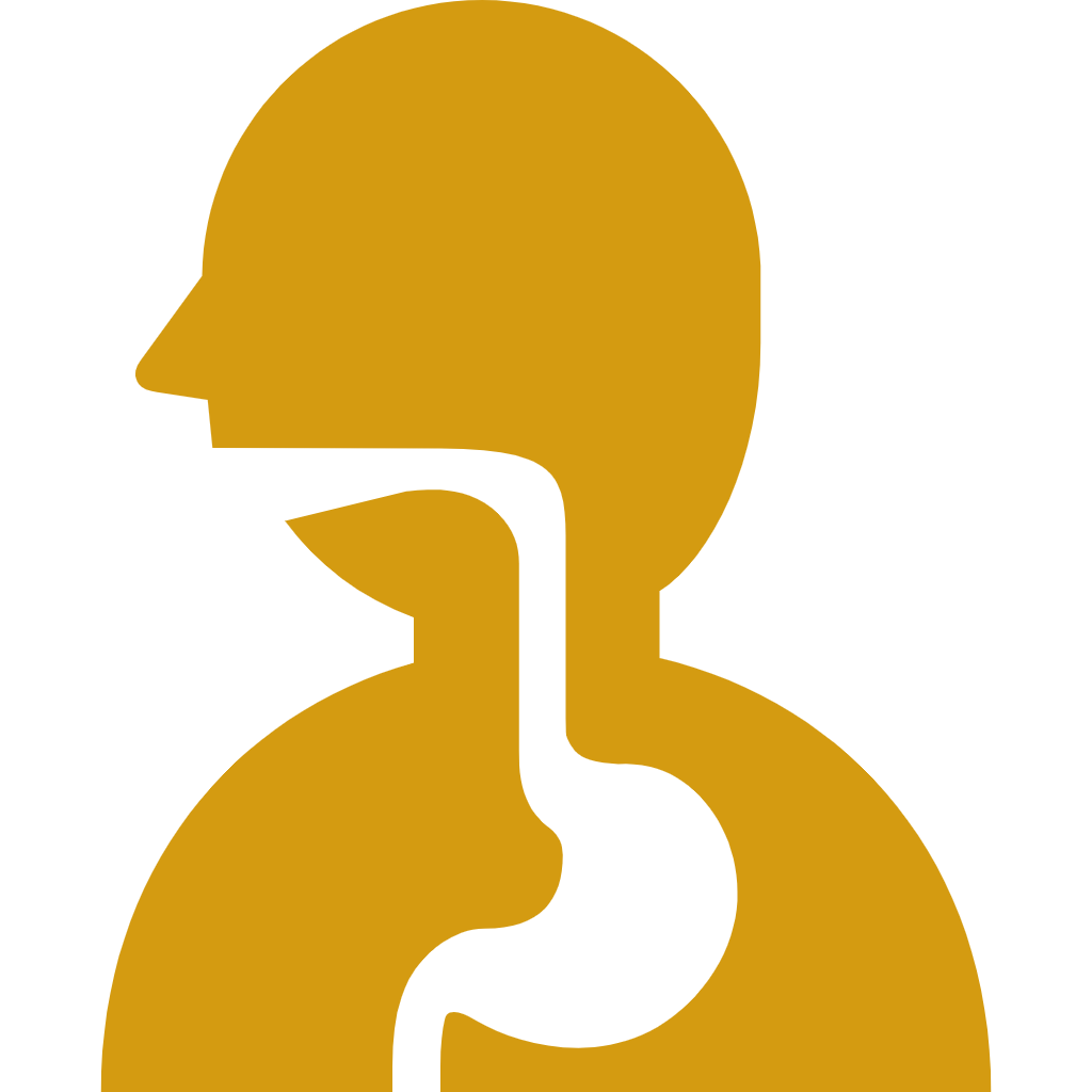 human-stomach-digestion-diagram-2-svgrepo-com